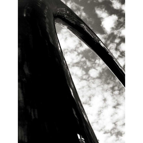 Sky Sculpture I Black Modern Wood Framed Art Print with Double Matting by Ling, Tang