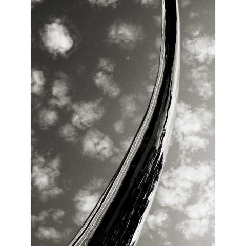 Sky Sculpture II Black Modern Wood Framed Art Print with Double Matting by Ling, Tang
