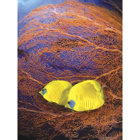 Jeweled Fish II White Modern Wood Framed Art Print by Henry, Lola