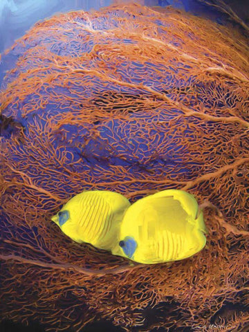 Jeweled Fish II White Modern Wood Framed Art Print with Double Matting by Henry, Lola