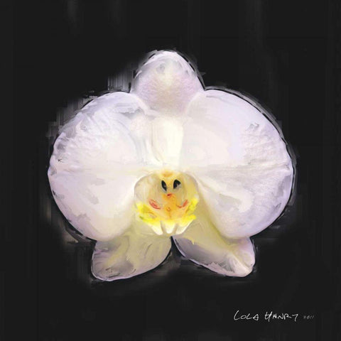 Vibrant Flower IV Black Ornate Wood Framed Art Print with Double Matting by Henry, Lola