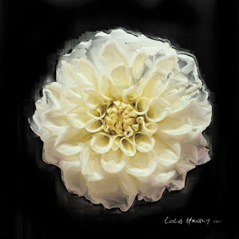 Vibrant Flower V Black Modern Wood Framed Art Print with Double Matting by Henry, Lola