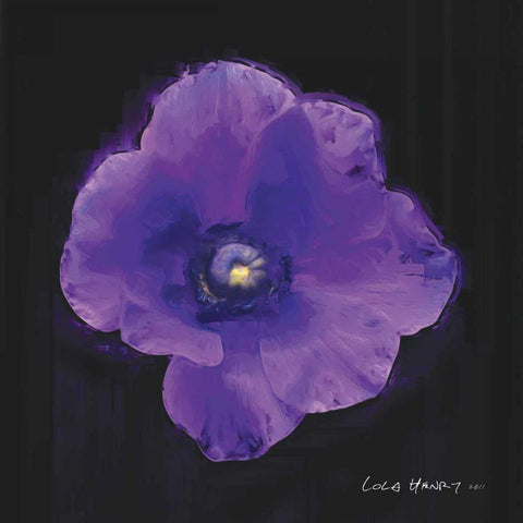 Vibrant Flower VIII White Modern Wood Framed Art Print with Double Matting by Henry, Lola