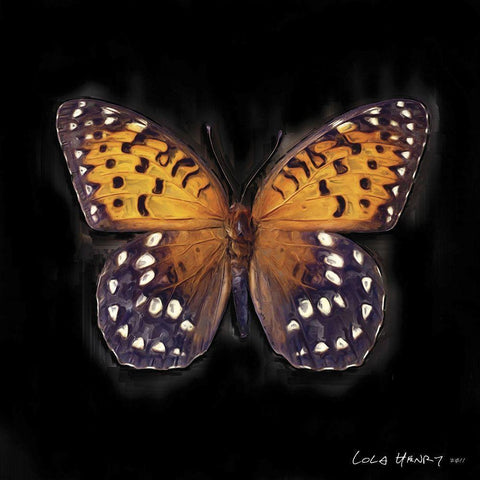 Techno Butterfly IV Black Modern Wood Framed Art Print by Henry, Lola