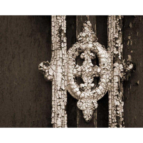 Ornament II Black Modern Wood Framed Art Print with Double Matting by Christensen, Jim