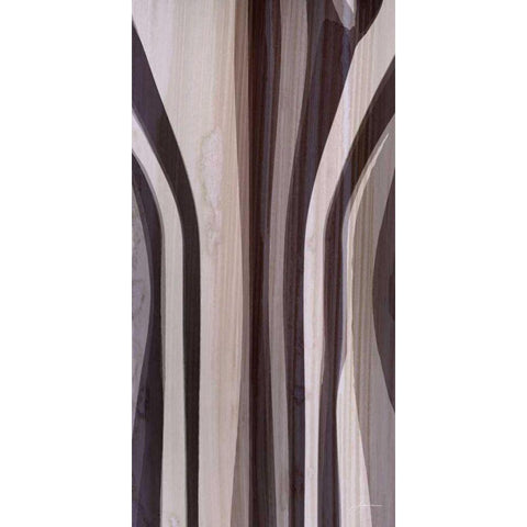 Bentwood Panel II White Modern Wood Framed Art Print by Burghardt, James