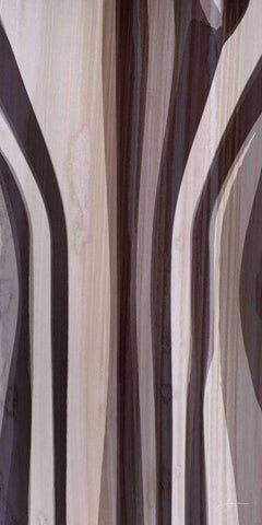 Bentwood Panel II White Modern Wood Framed Art Print with Double Matting by Burghardt, James