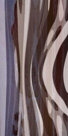 Bentwood Panel III White Modern Wood Framed Art Print with Double Matting by Burghardt, James