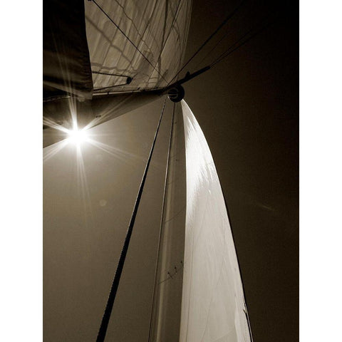 Sail Geometry II White Modern Wood Framed Art Print by Bay, Noah