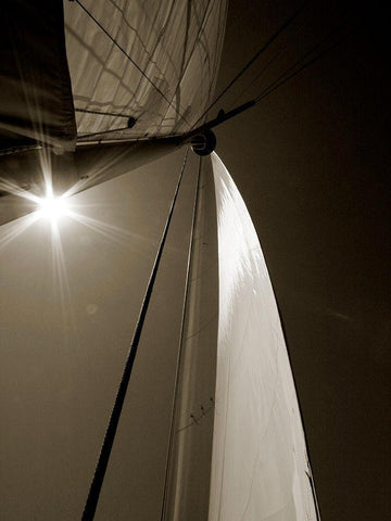 Sail Geometry II White Modern Wood Framed Art Print with Double Matting by Bay, Noah