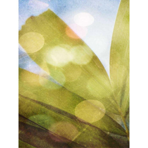 Tropical Daydream II White Modern Wood Framed Art Print by Robinson, Emily