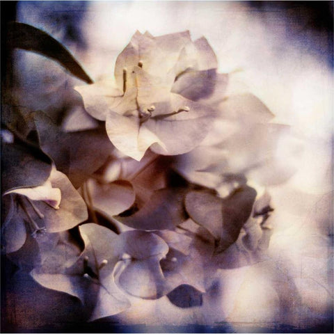 Purple Dusk I Black Modern Wood Framed Art Print by Robinson, Emily