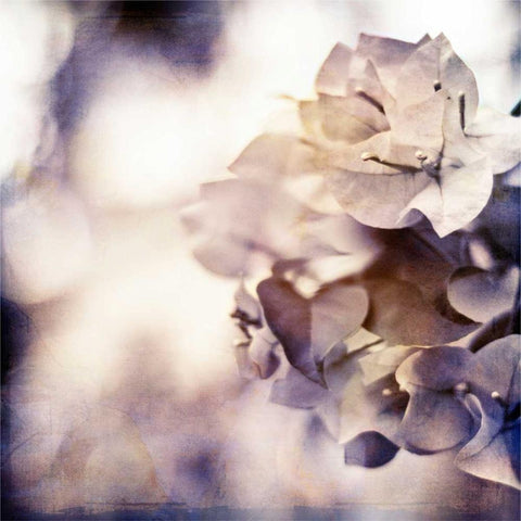 Purple Dusk II White Modern Wood Framed Art Print by Robinson, Emily