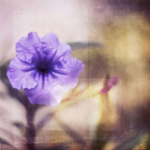 Purple Tranquility I White Modern Wood Framed Art Print by Robinson, Emily