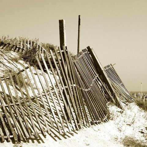 Fences in the Sand I Black Modern Wood Framed Art Print by Bay, Noah