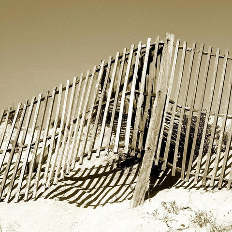 Fences in the Sand II Black Modern Wood Framed Art Print by Bay, Noah