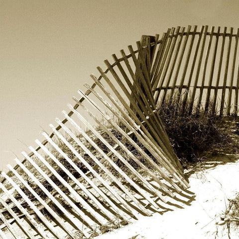 Fences in the Sand III Gold Ornate Wood Framed Art Print with Double Matting by Bay, Noah
