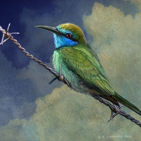 Bee Eater White Modern Wood Framed Art Print by Vest, Chris