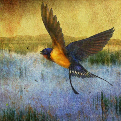 Barnswallow Gold Ornate Wood Framed Art Print with Double Matting by Vest, Chris