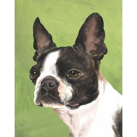 Dog Portrait-Boston Black Modern Wood Framed Art Print by Sands, Jill