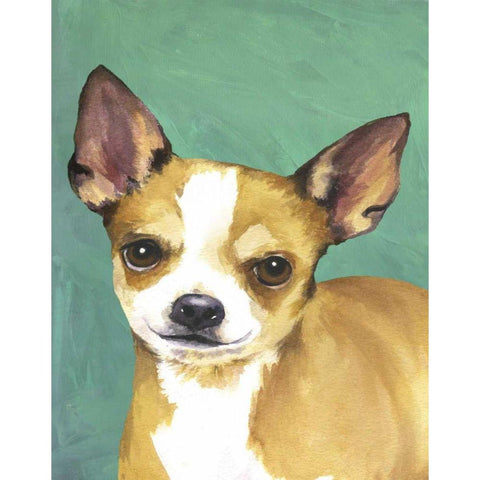 Dog Portrait-Chihuahua White Modern Wood Framed Art Print by Sands, Jill