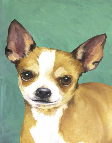 Dog Portrait-Chihuahua Black Ornate Wood Framed Art Print with Double Matting by Sands, Jill