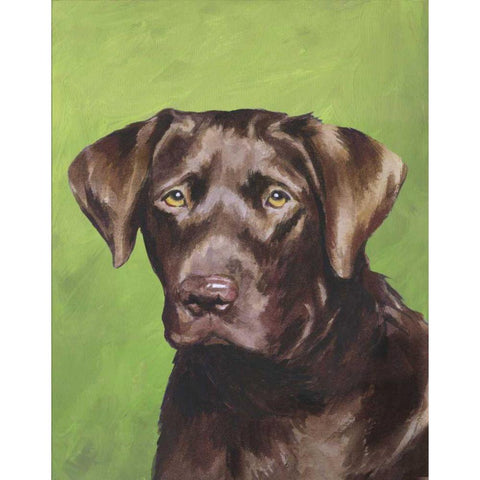 Dog Portrait-Chocolate Black Modern Wood Framed Art Print with Double Matting by Sands, Jill