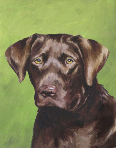 Dog Portrait-Chocolate White Modern Wood Framed Art Print with Double Matting by Sands, Jill