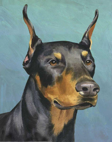 Dog Portrait-Dobie White Modern Wood Framed Art Print with Double Matting by Sands, Jill