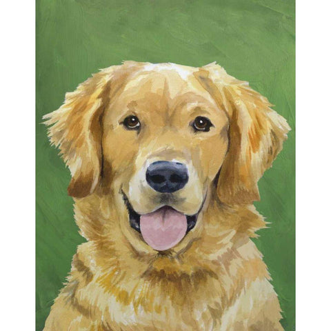 Dog Portrait-Golden Black Modern Wood Framed Art Print with Double Matting by Sands, Jill