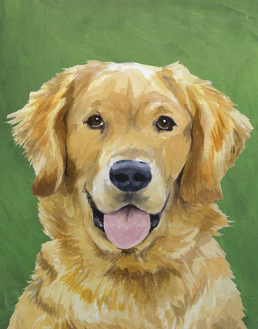 Dog Portrait-Golden White Modern Wood Framed Art Print with Double Matting by Sands, Jill