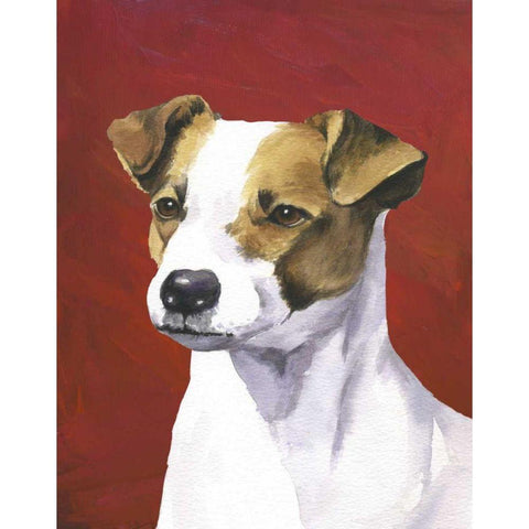 Dog Portrait-Jack Black Modern Wood Framed Art Print by Sands, Jill