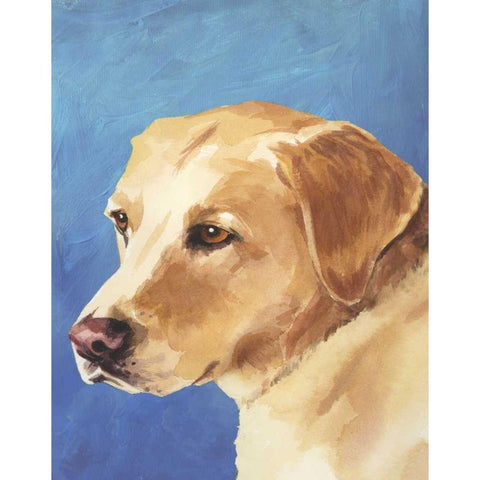 Dog Portrait-Yellow Lab White Modern Wood Framed Art Print by Sands, Jill