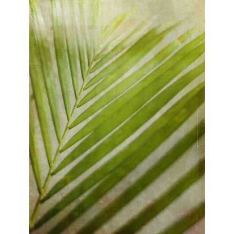 Elegant Frond II Black Modern Wood Framed Art Print by Robinson, Emily