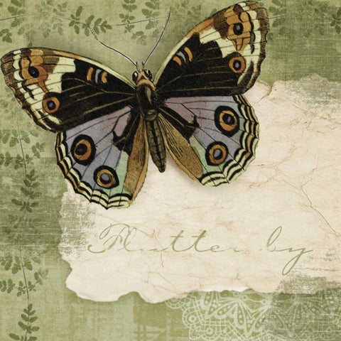 Butterfly Notes IV White Modern Wood Framed Art Print by Beth Anne Creative