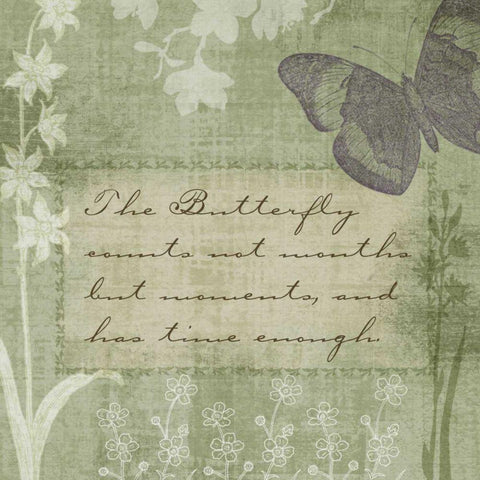 Butterfly Notes VII White Modern Wood Framed Art Print with Double Matting by Beth Anne Creative