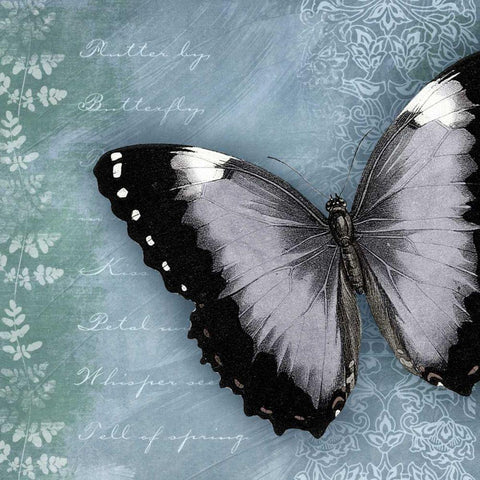 Butterfly Notes X White Modern Wood Framed Art Print with Double Matting by Beth Anne Creative