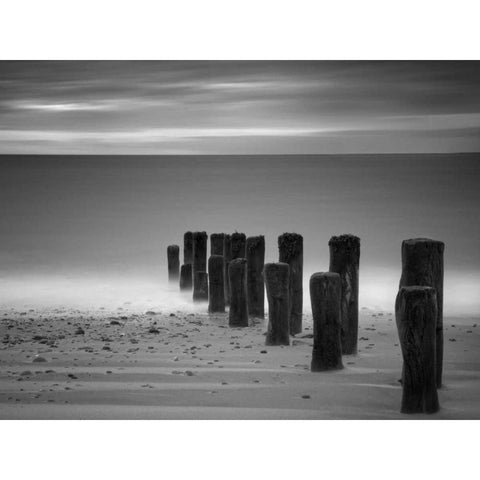 Marching White Modern Wood Framed Art Print by Henson, Martin