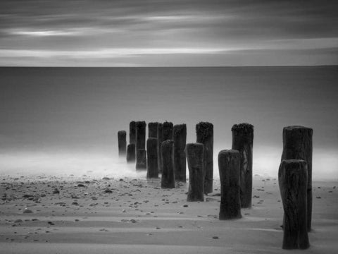 Marching Black Ornate Wood Framed Art Print with Double Matting by Henson, Martin