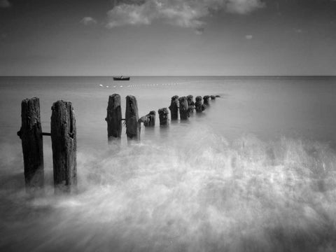 Fast and Slow White Modern Wood Framed Art Print with Double Matting by Henson, Martin