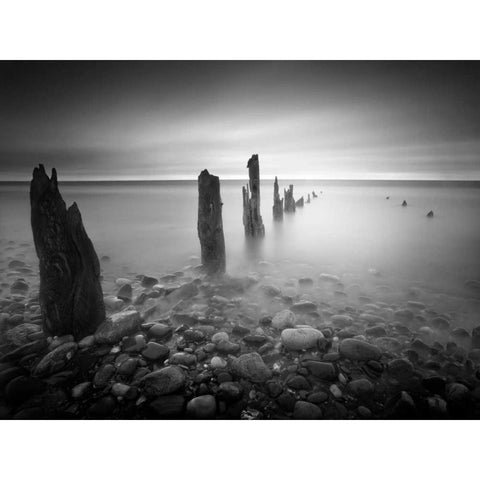 Soft Light Black Modern Wood Framed Art Print with Double Matting by Henson, Martin