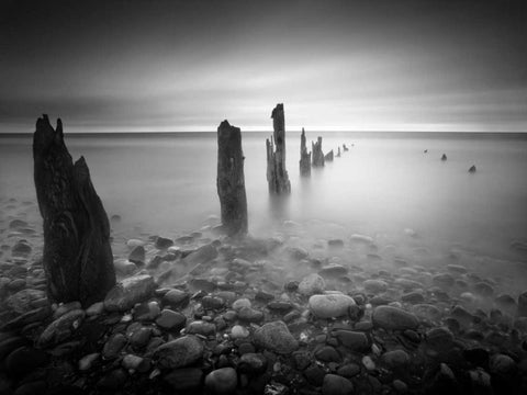 Soft Light Black Ornate Wood Framed Art Print with Double Matting by Henson, Martin