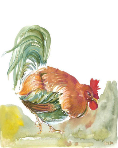 Down Home III White Modern Wood Framed Art Print with Double Matting by Della-Piana, Elissa