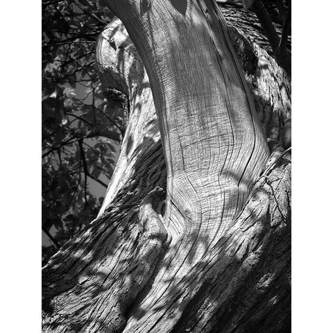 Texture Black Modern Wood Framed Art Print with Double Matting by Henson, Martin