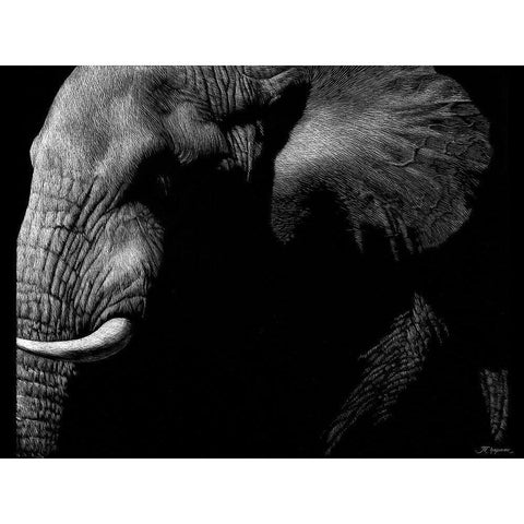 Wildlife Scratchboards III White Modern Wood Framed Art Print by Chapman, Julie T.