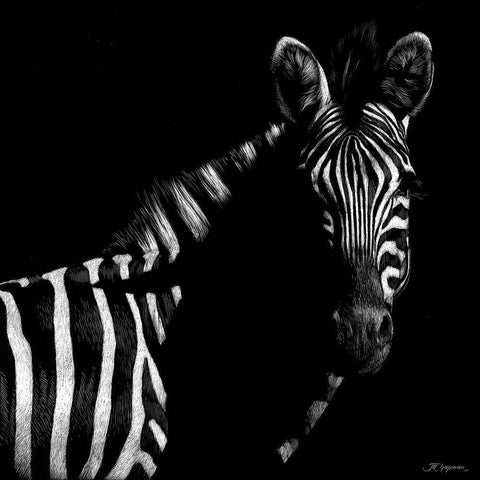 Wildlife Scratchboards IV White Modern Wood Framed Art Print by Chapman, Julie T.