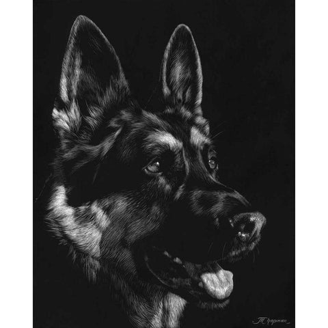 Canine Scratchboard I White Modern Wood Framed Art Print by Chapman, Julie T.