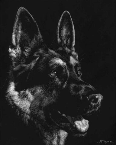 Canine Scratchboard I Black Ornate Wood Framed Art Print with Double Matting by Chapman, Julie T.