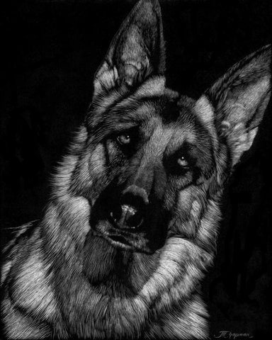 Canine Scratchboard II Black Ornate Wood Framed Art Print with Double Matting by Chapman, Julie T.
