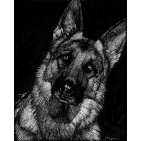 Canine Scratchboard II Black Modern Wood Framed Art Print by Chapman, Julie T.